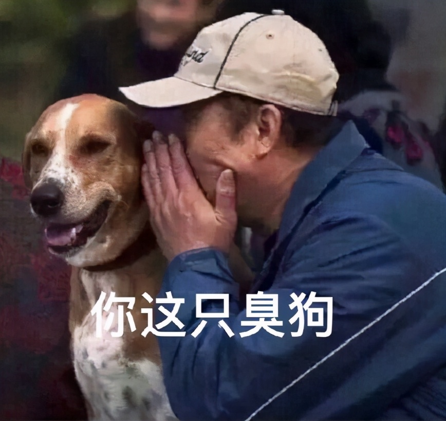 六种出了名的臭狗养过的人都害怕