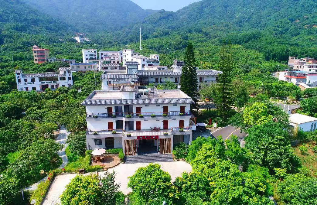 从化南平静修小镇成了"网红村",村集体经济收入翻了近五倍