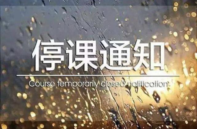 据吉林日报微信公众号11月18日消息,长春市教育局发布停课通知.