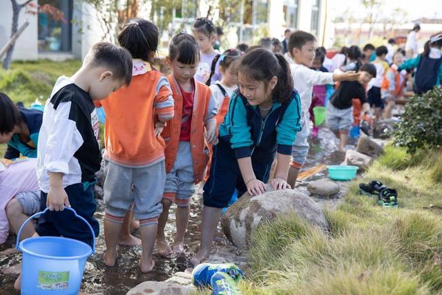 11月18日,浙江省诸暨市东望幼儿园的小朋友在捉泥鳅.