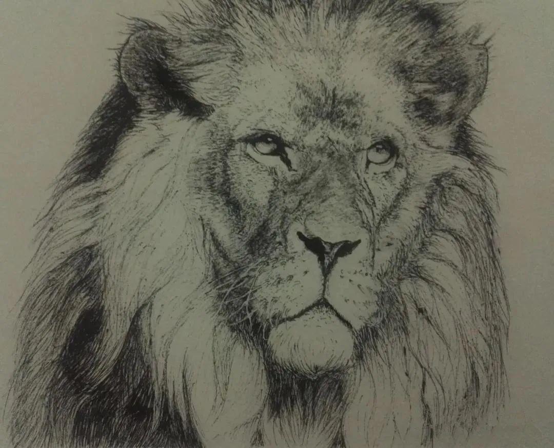 【家乡图语】民警画笔下的猛兽