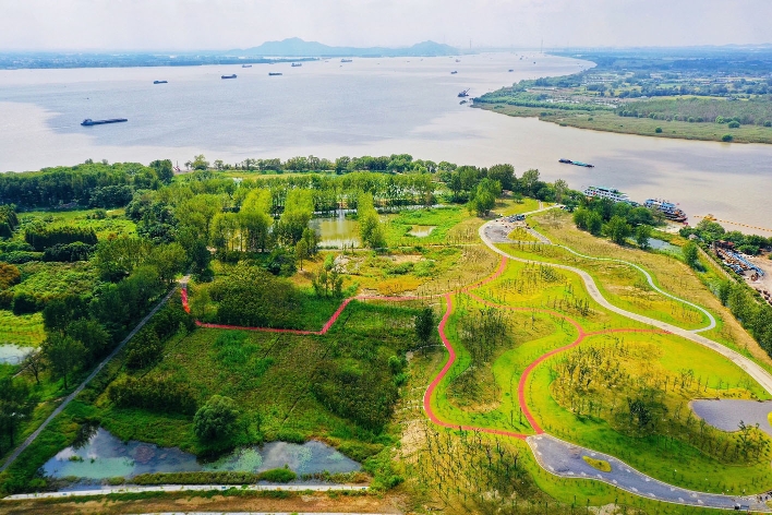 新建水利设施让湿地水系连通长江 三江营村湿地公园展露芳容