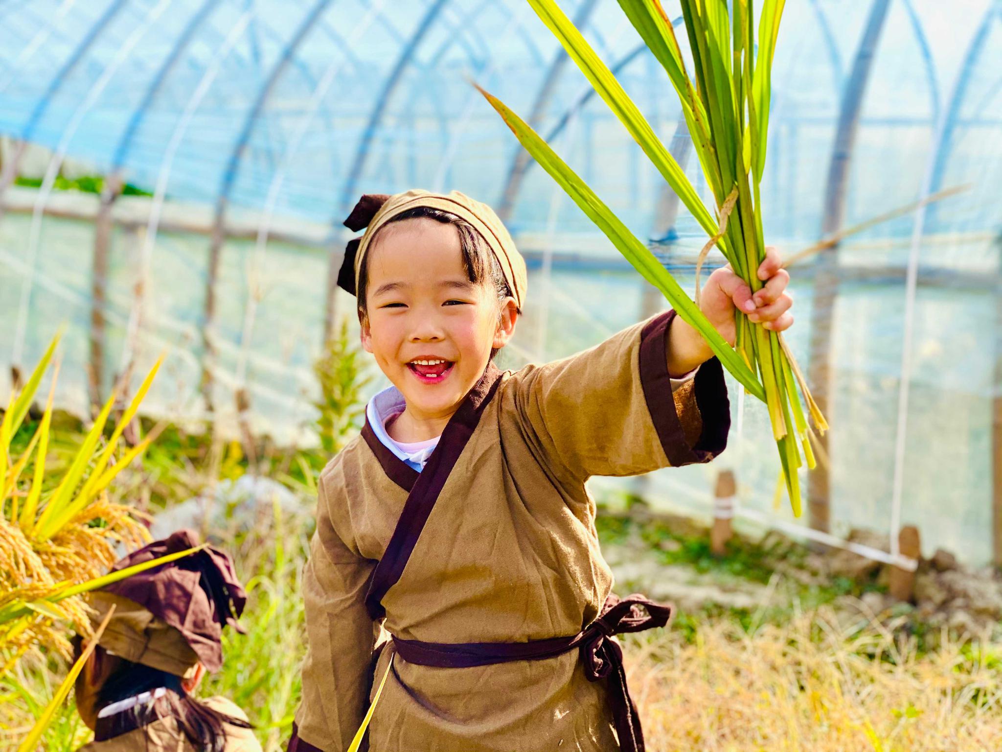 夏季农事活动有哪些 农民都在忙什么