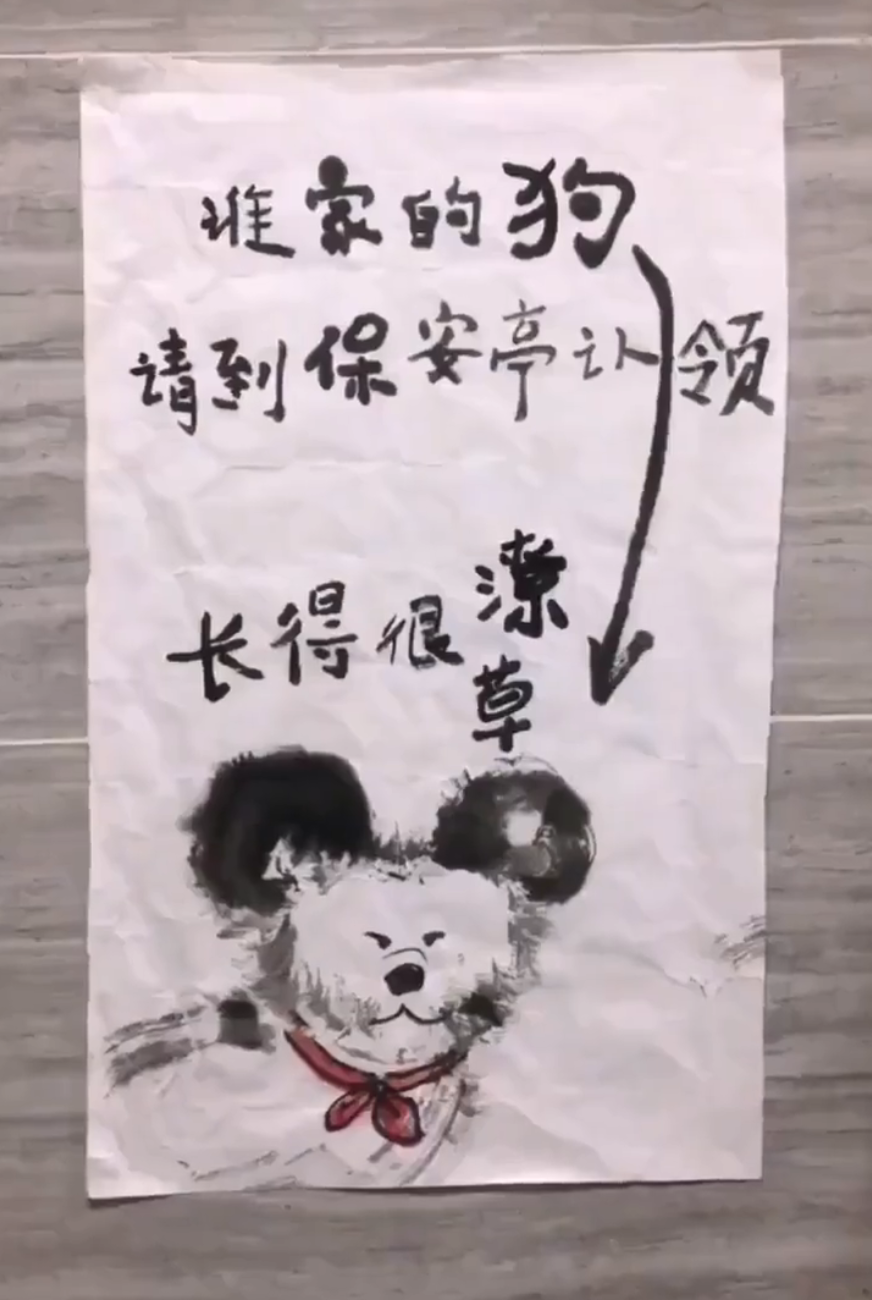 这样的寻狗启示能找到狗?咦,还真能!