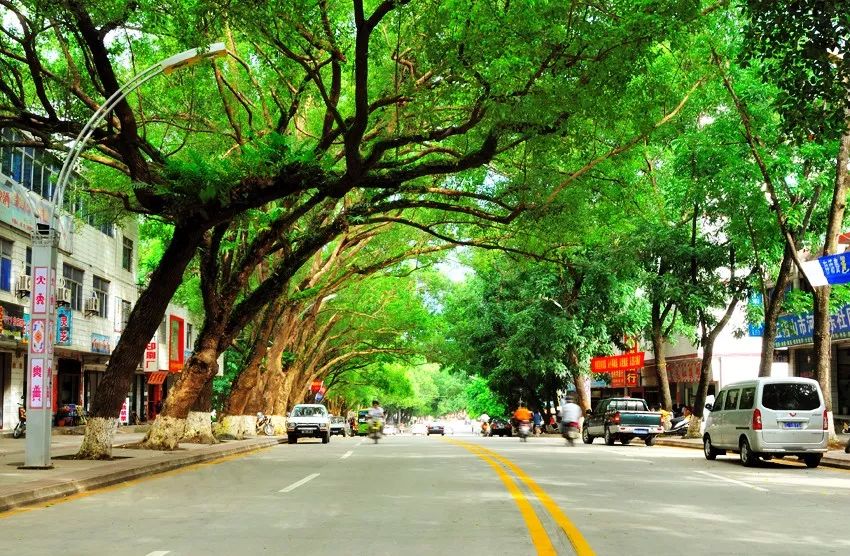 海南唯一!五指山市被授予2020年度"中国天然氧吧"称号