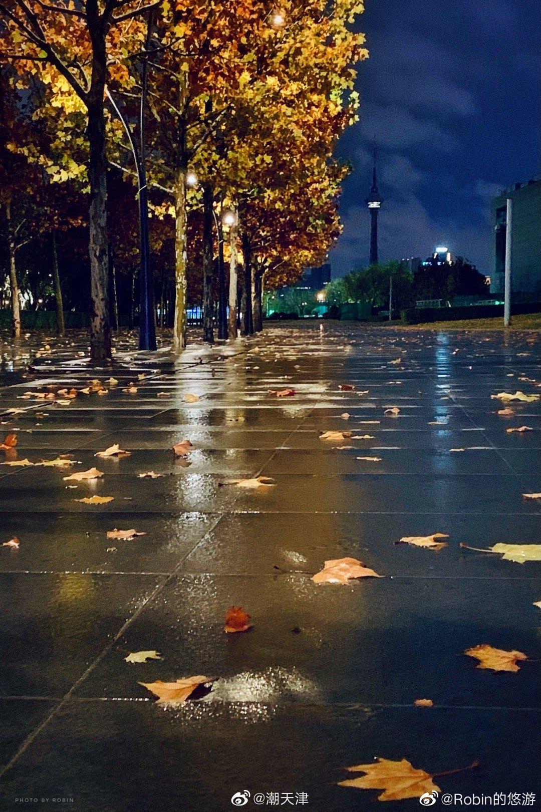 秋天雨夜图片唯美图片