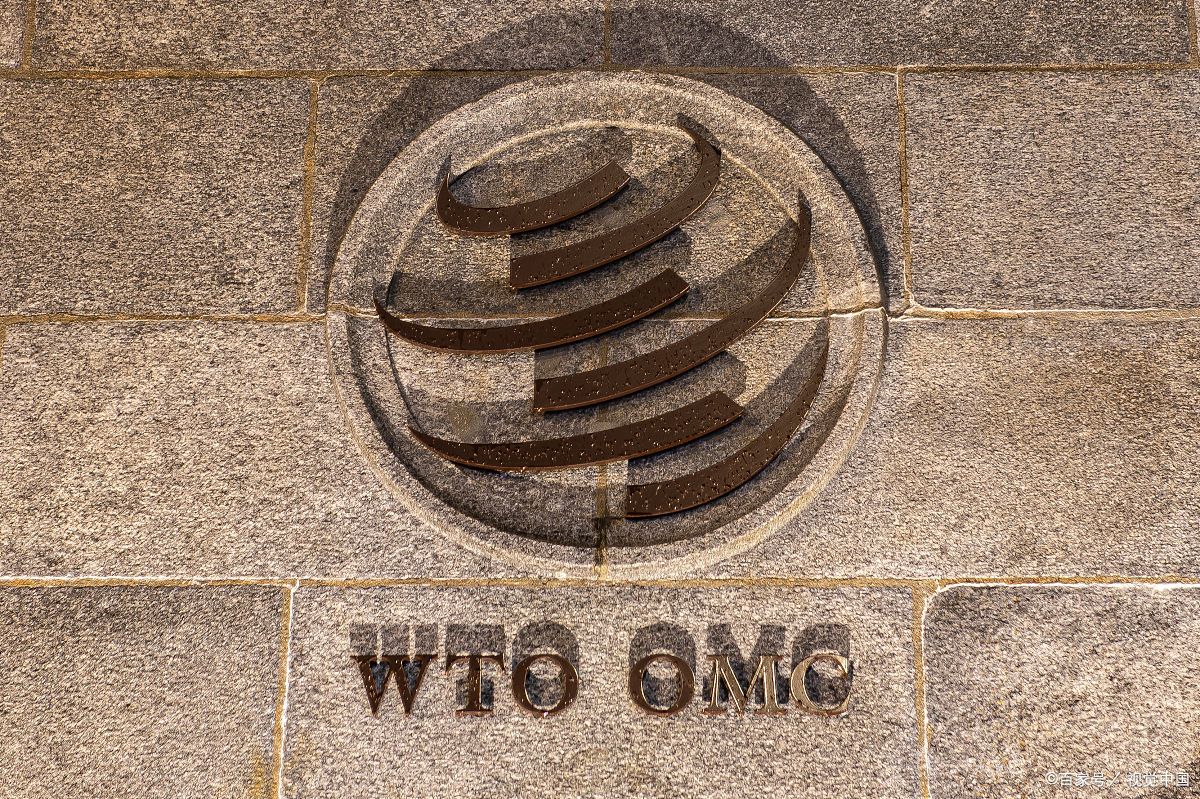 王文:全球治理已休克 人人都应长期戴口罩!