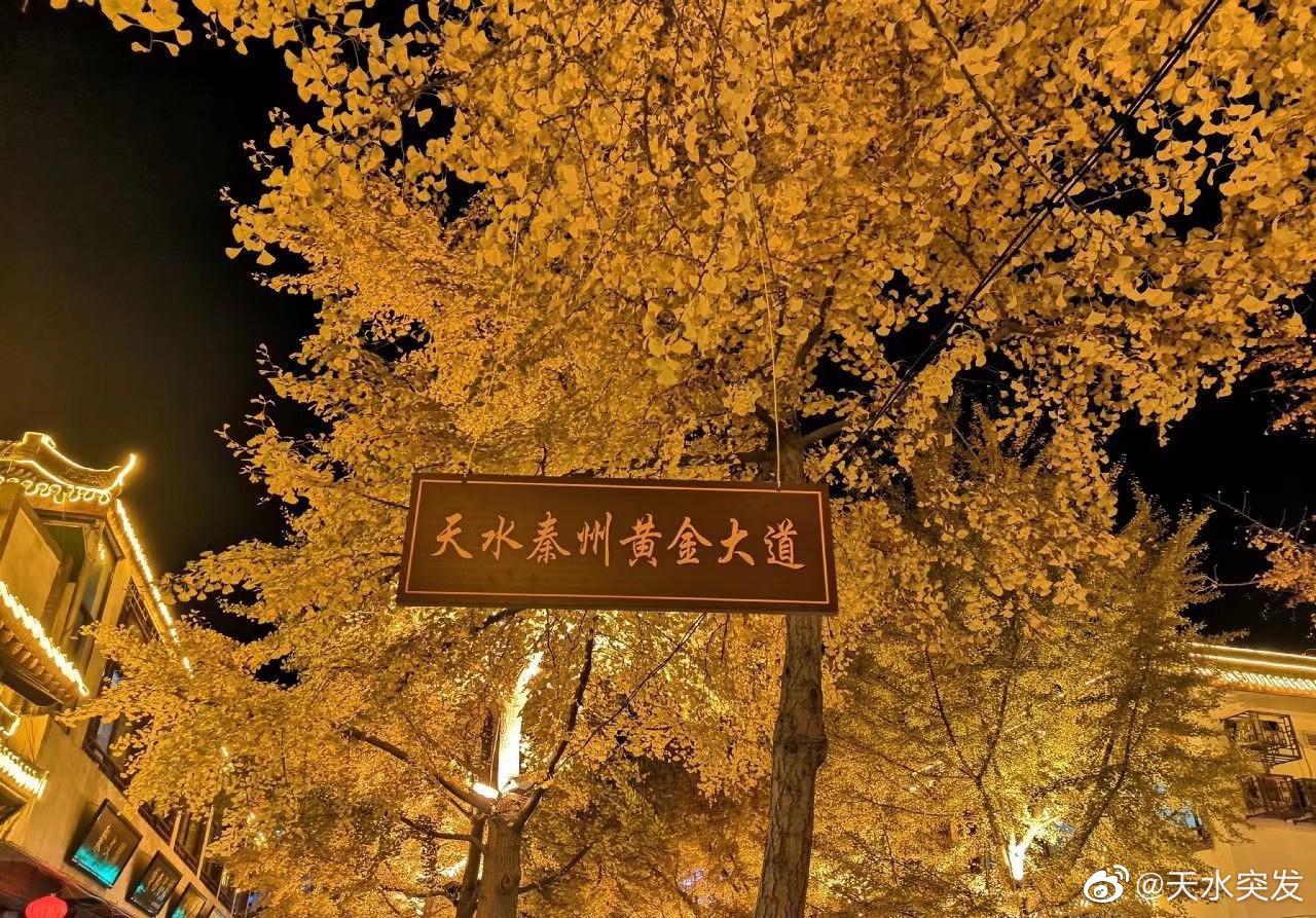 天水黄金大道刷屏朋友圈