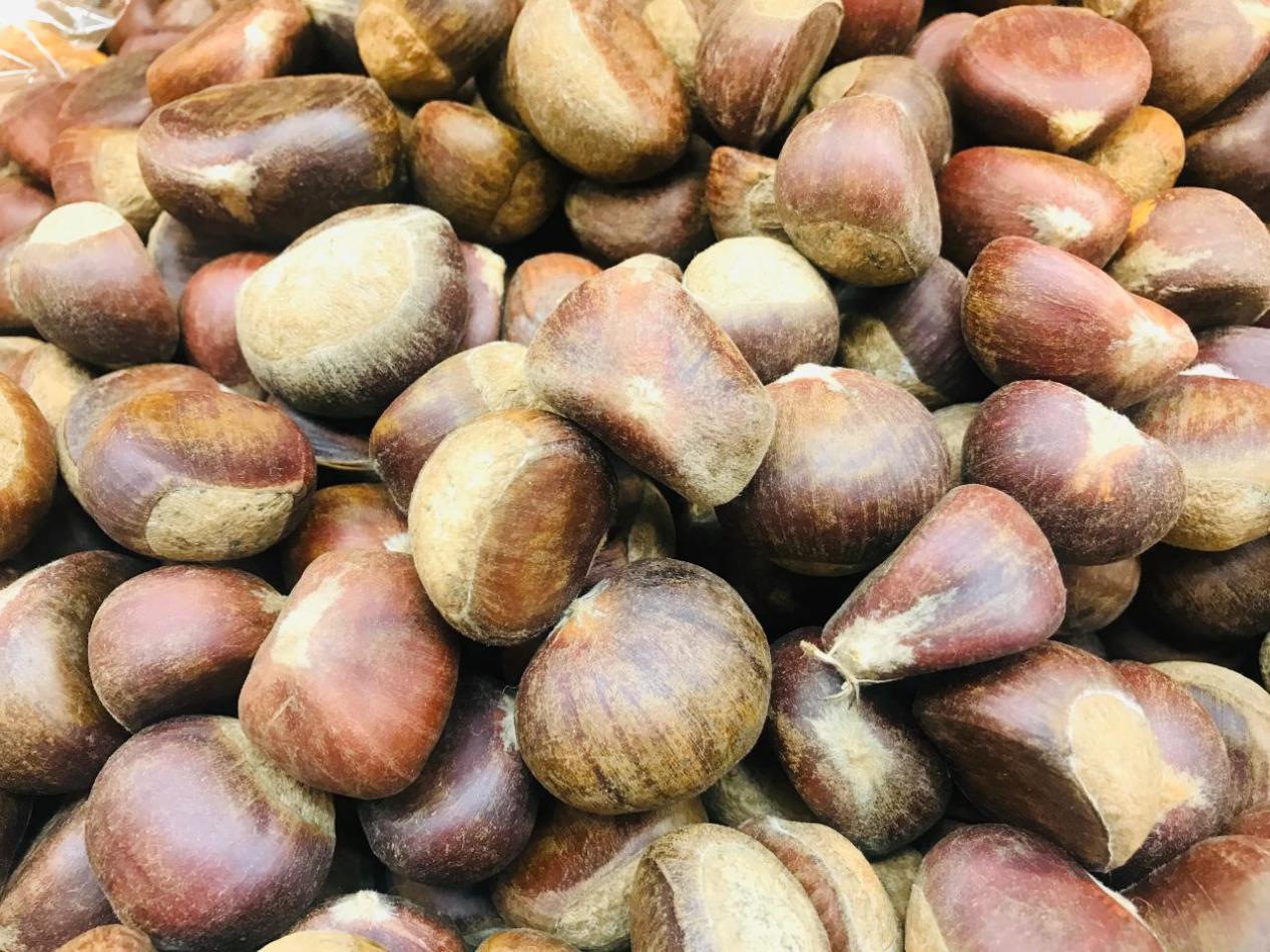 农业养生丨"千果之王"——板栗