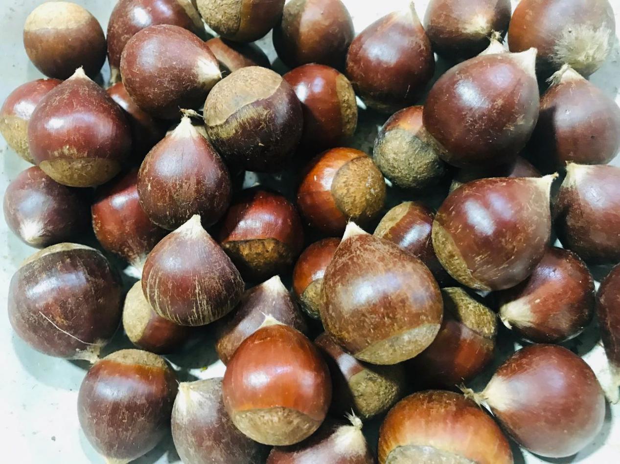 农业养生丨"千果之王"——板栗