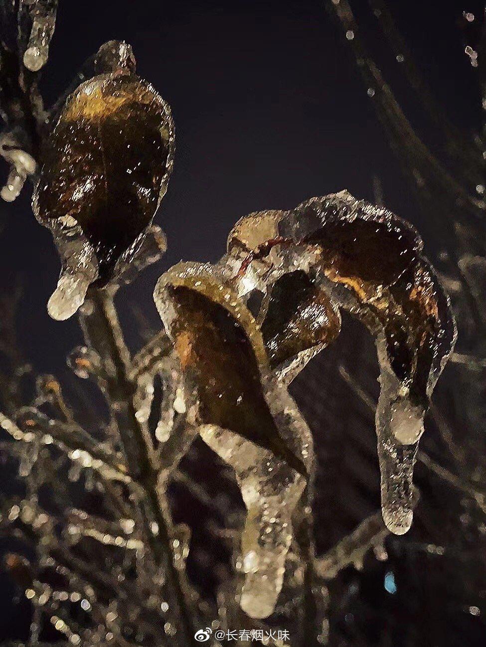 长春的冰挂实在太美了!