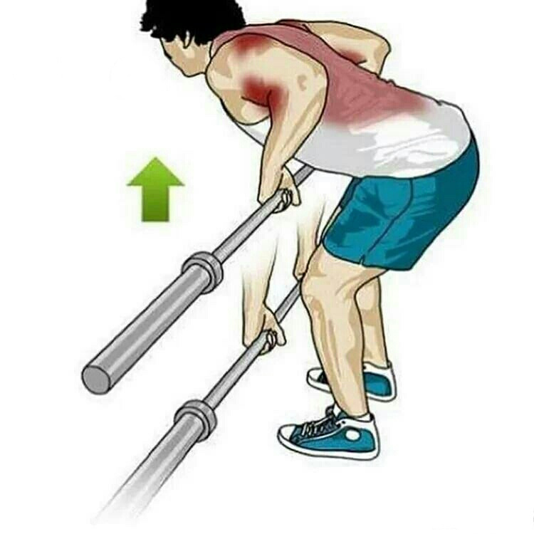 动作,帮你改善不良体态,塑造倒三角身材|哑铃|背阔肌|杠铃_新浪新闻