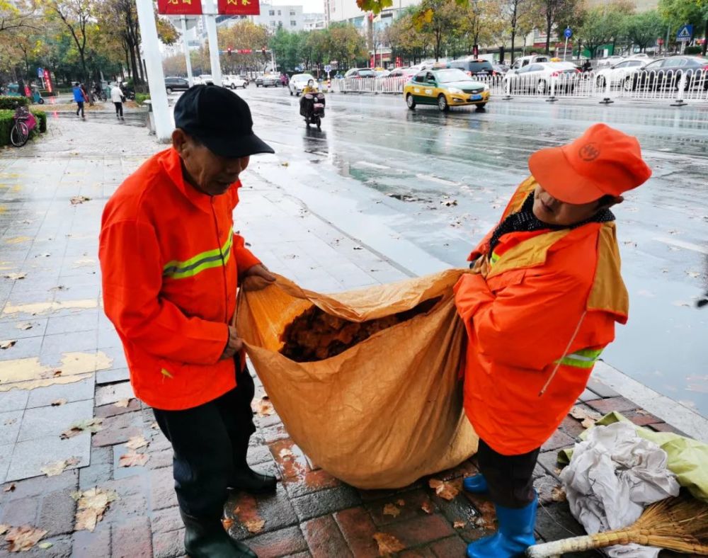 天不亮就上路清理!潍坊雨后落叶贴地,辛苦了环卫工人