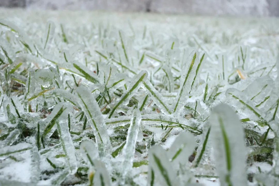 11月罕见强雨雪席卷中东部新一轮雨雪降温明日将至