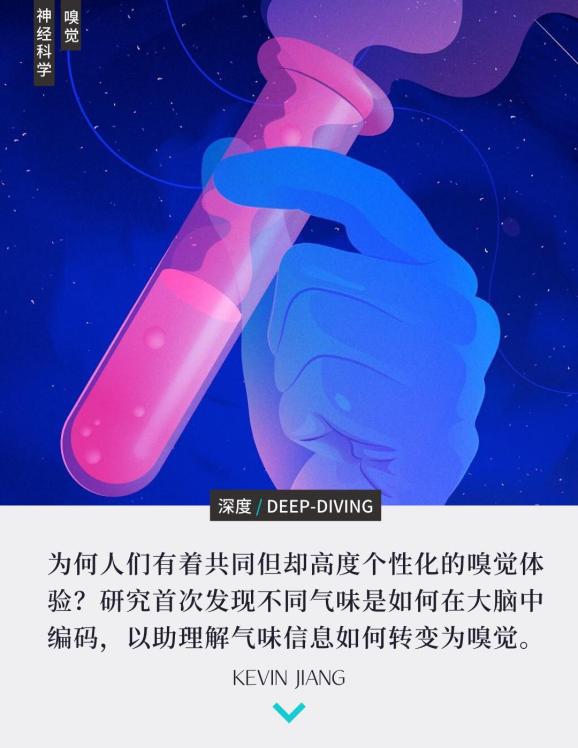 你是怎么闻出味道的?|化学|体验_新浪新闻
