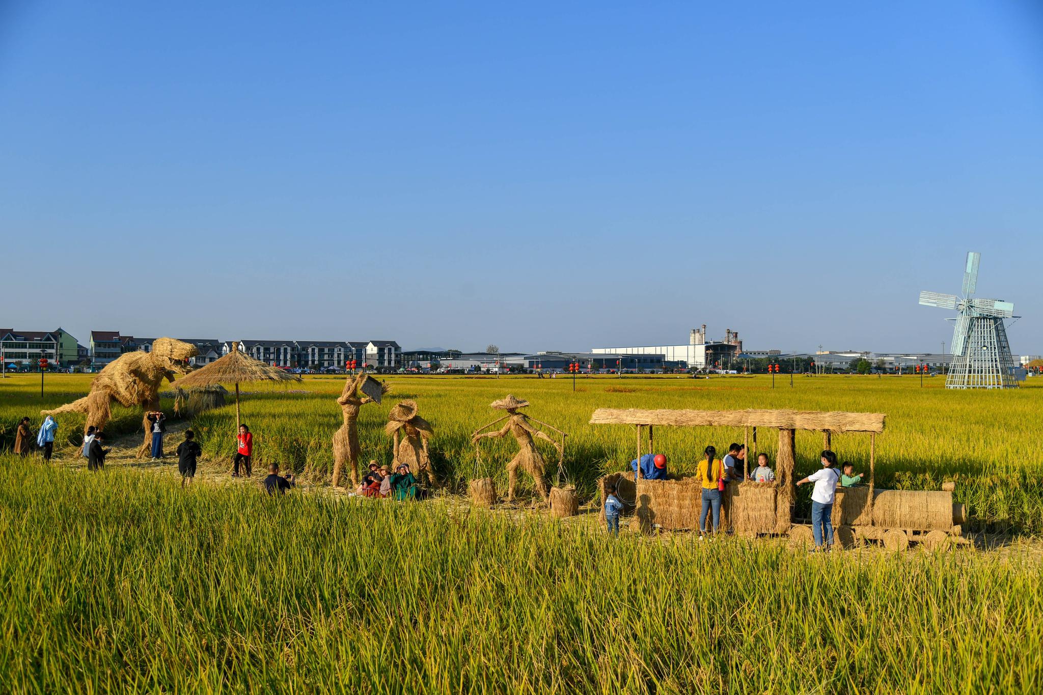 10月31日,杭州富阳区渔山乡,各种就地取材的创意稻草人将稻田变成了