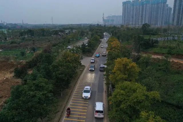 潇湘晨报|长沙有条“车震路”：300米内298条减速带，“结石都能震掉”