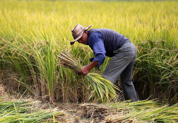 【大国小鲜@基层之治】泰州姜堰:"微协商"议出街头巷尾"堰"阳天