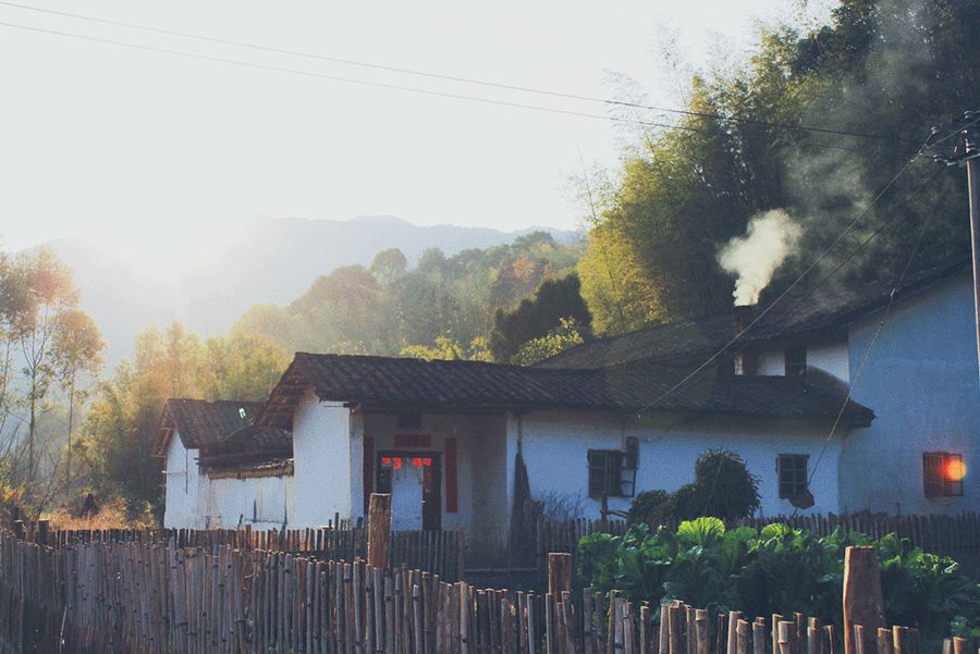 从此,他归隐田园,"采菊东篱下,悠然见南山".