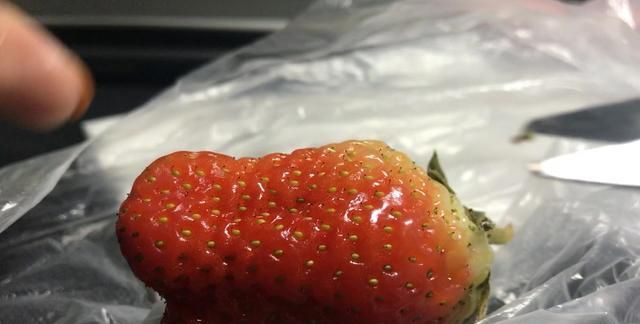 小伙用黑头吸出器给草莓"去黑头",究竟会怎样?一起来见识下!