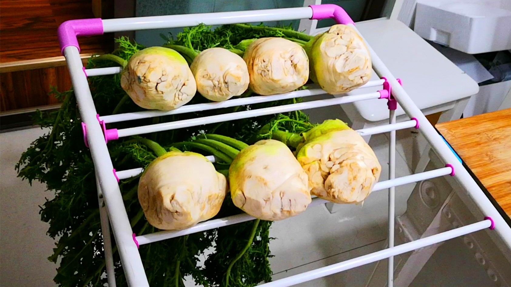 咱们这里说的芥菜是大头菜,我来给大家分享一些腌制芥菜的方法腌制