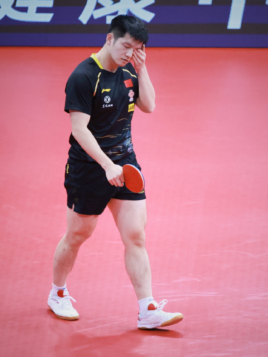 樊振东眼睛意外被球砸中41进四强对手球拍磕坏不得不更换