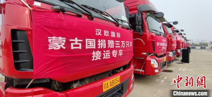 蒙古国捐赠湖北首批11267只羊运抵武汉 分配方案已出炉