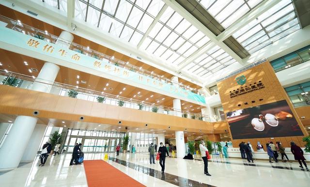 关于北大一院挂号，住院办理等*同仁医院的信息