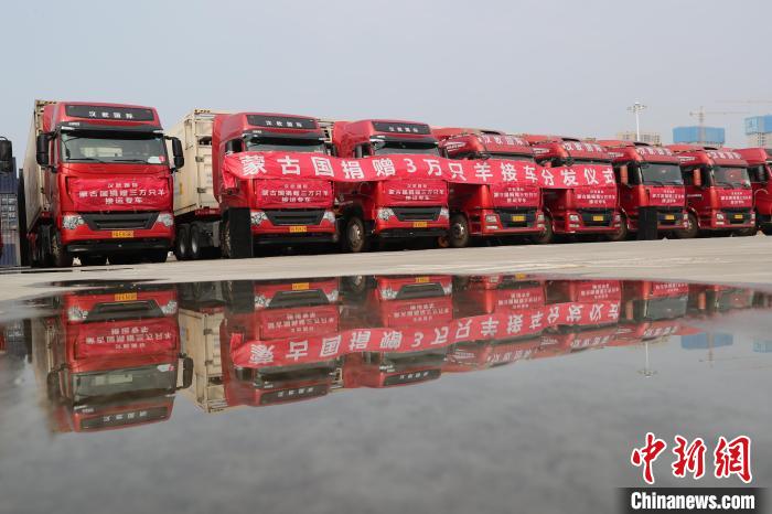 湖北省商务厅20日举办蒙古国捐赠羊接车分发仪式 张畅 摄