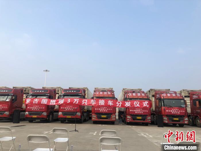 湖北省商务厅20日举办蒙古国捐赠羊接车分发仪式 梁婷 摄