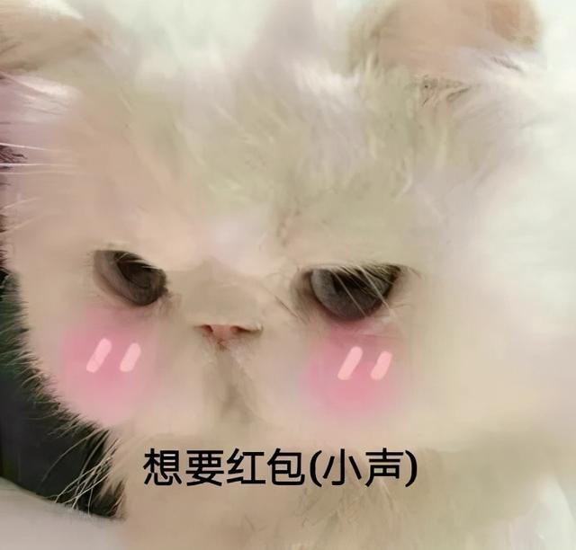 要红包的可爱表情包合集__财经头条