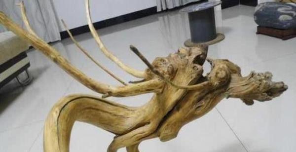 男子挖到龙形树根,以为不值钱扔掉,邻居捡走卖出高价