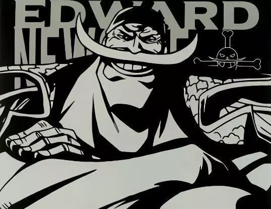 p1:白胡子纽盖特,船员们的老爹.他是旧时代最有魄力的四皇.