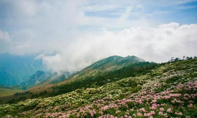 商洛2021个县区gdp_2019年商洛各区县人均GDP最新数据出炉,柞水第一,商州区最低