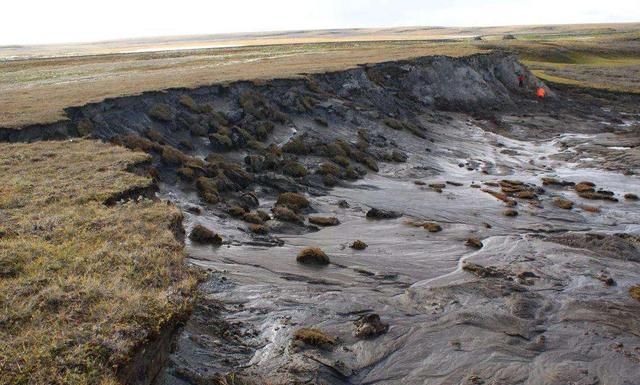 西伯利亚永久冻土融化,出现14300年前生物,科学家:该觉醒了
