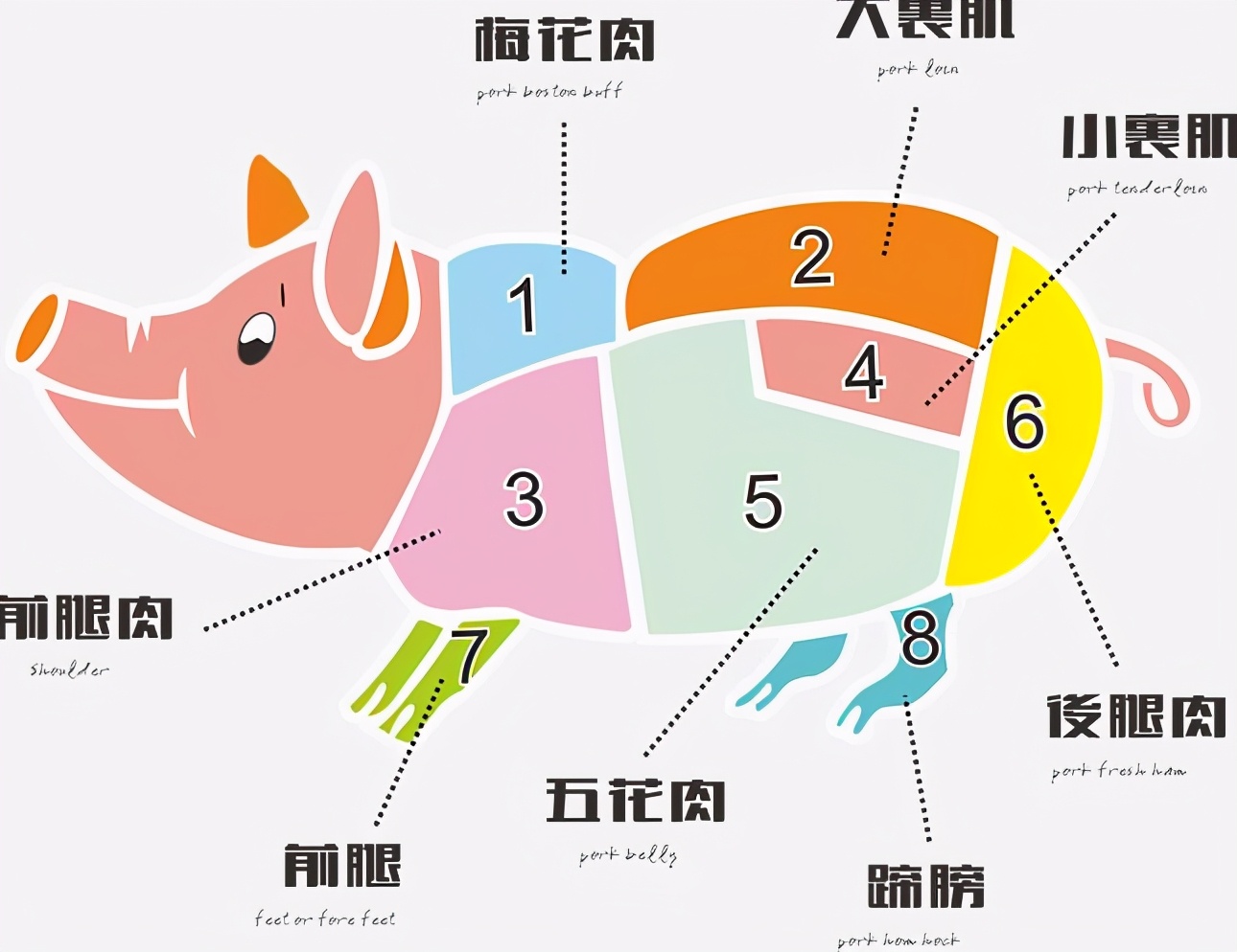 吃了多年肉才知道五花肉分上下口感差太多买错了很难吃