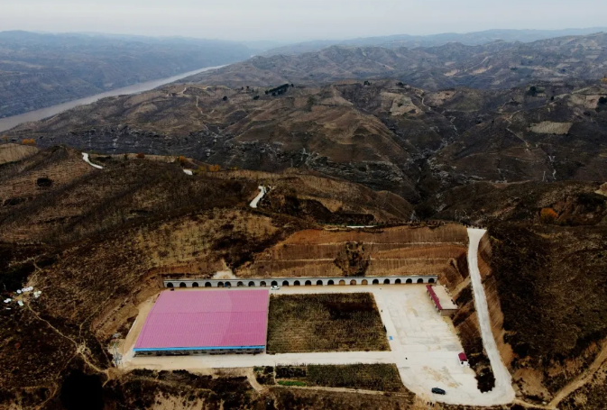 石楼县小蒜镇转角村委以肉兔养殖创办集体经济