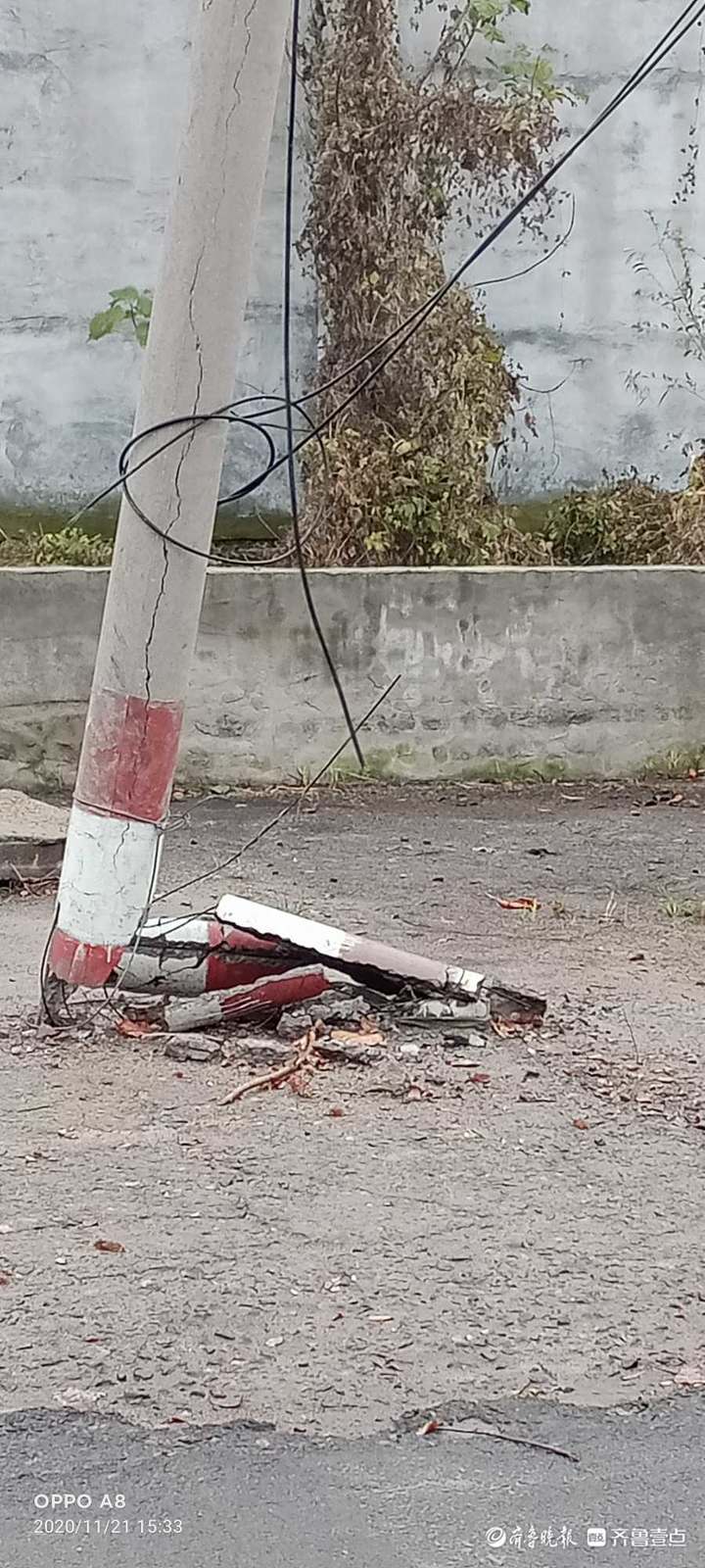 情报站|壹粉反映滨州路边一电线杆断裂倾斜,市民盼修复