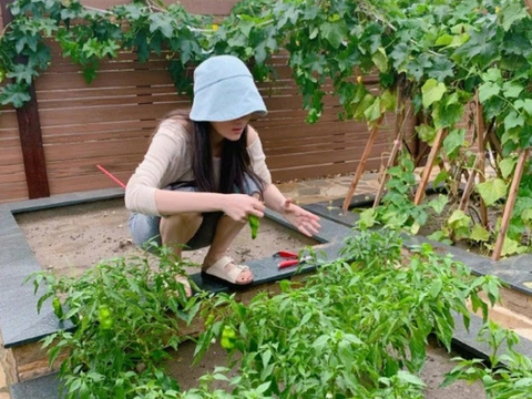 张馨予婚后回归家庭,在家养花种菜,却过着令很多女生羡慕的日子