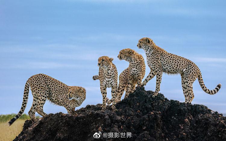 凝望|wendy deng 相机:sony a9ii 镜头:sony fe 200-600mm f5