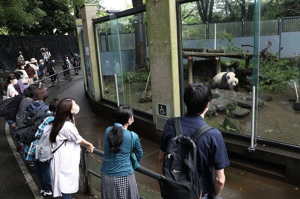 2020年6月23日，日本东京上野动物园重新开放的第一天，游客来看香香