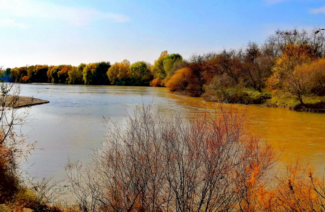 甘肃民勤冬日湿地生态美