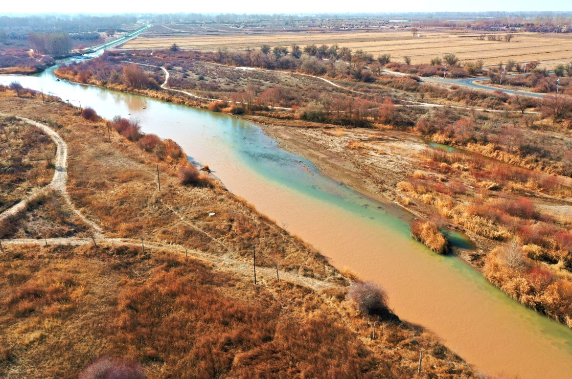 甘肃民勤冬日湿地生态美