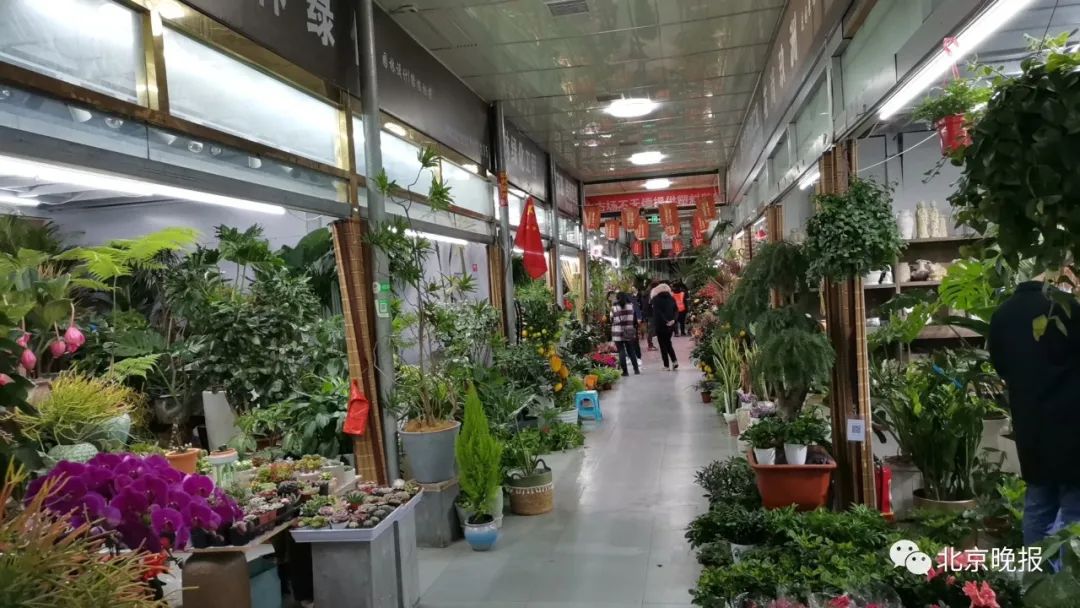 清仓,甩货……王四营花卉市场要关门?