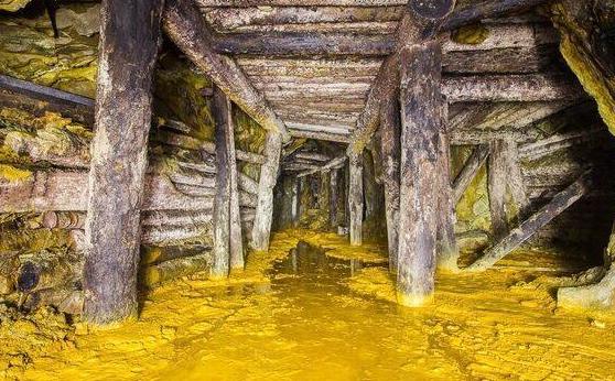 探险者野外发现破败山洞,进去一看竟寻得大片"黄金",大开眼界