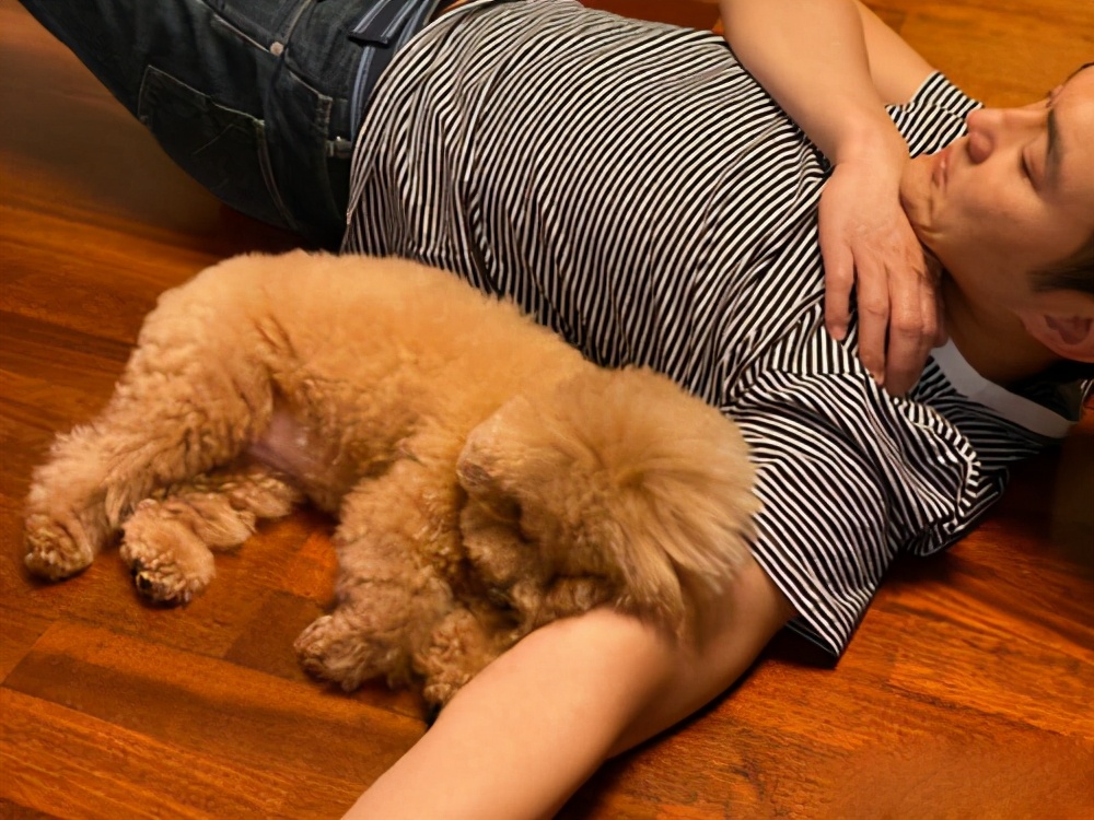 网友3:邻居家养了条黑狗,那天黑狗过来我家,我蹲下摸了摸,我家狗突然