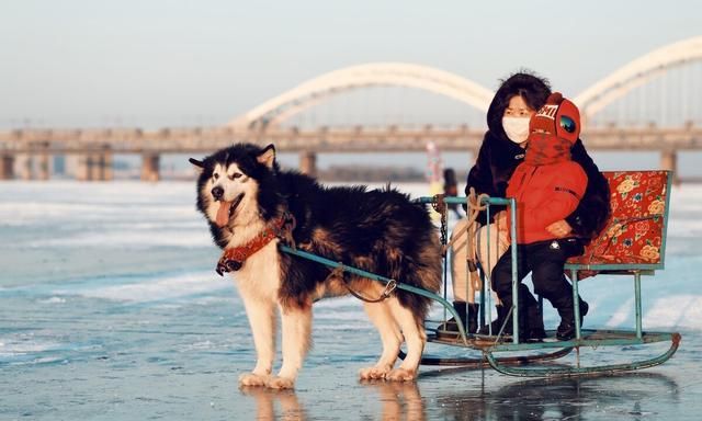 小伙网购东北冻梨,试吃后表示很失望,看到吃法后东北人已笑趴休闲区蓝鸢梦想 - Www.slyday.coM