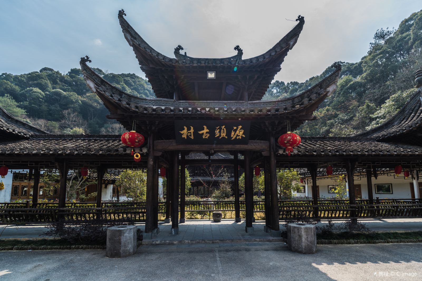 江西一座百年古村,长了一棵罕见的红豆杉,原来是"夫妻俩"|源头古村|红