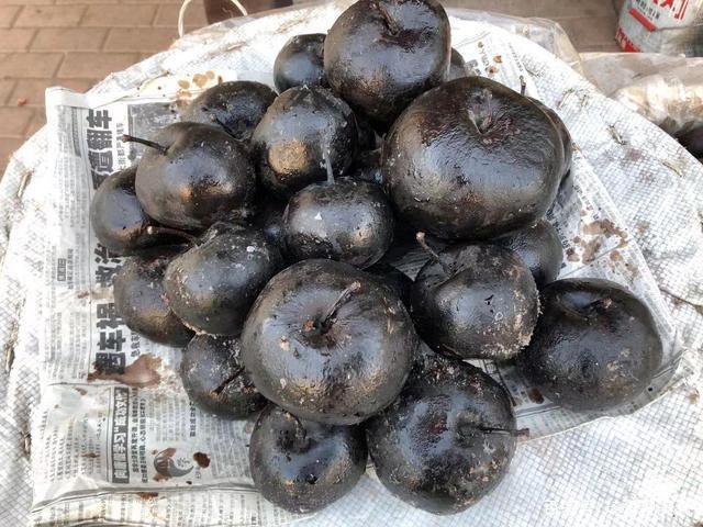 小伙网购东北“冻梨”,品尝过后太难吃,看到吃法后笑趴了!休闲区蓝鸢梦想 - Www.slyday.coM 小伙网购东北“冻梨”,品尝过后太难吃,看到吃法后笑趴了!休闲区蓝鸢梦想 - Www.slyday.coM