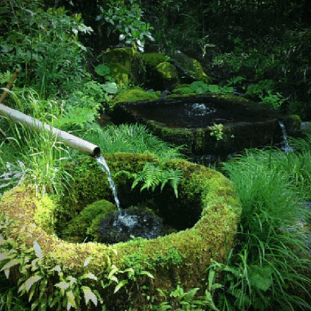 sweet water 真的不是 "甜水",小心喝了拉肚子!